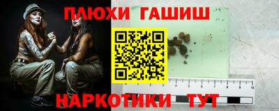 прущие грибы Кингисепп