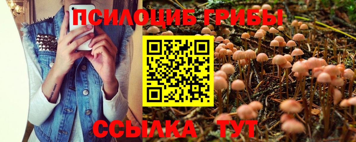 Псилоцибиновые грибы Magic Shrooms Куйбышев